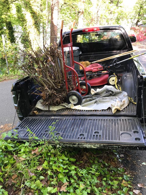 Deerwood Renovation Landscaping